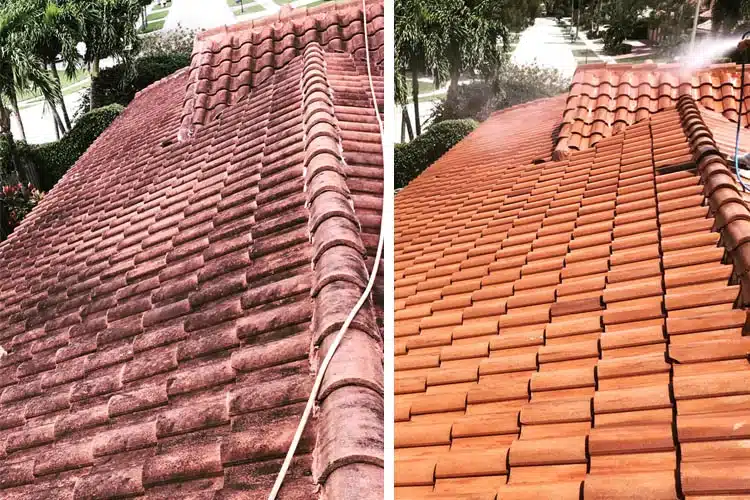 Roof washing companies before after